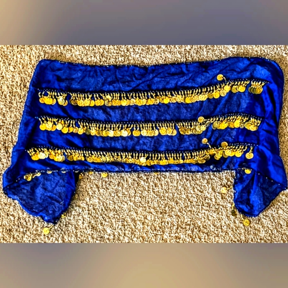 PROFESSIONAL WEIGHT BELLYDANCE COIN BELT